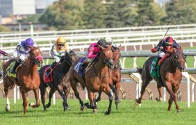 Rennpferde auf einer Rennbahn