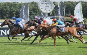 Bild eines Pferderennens