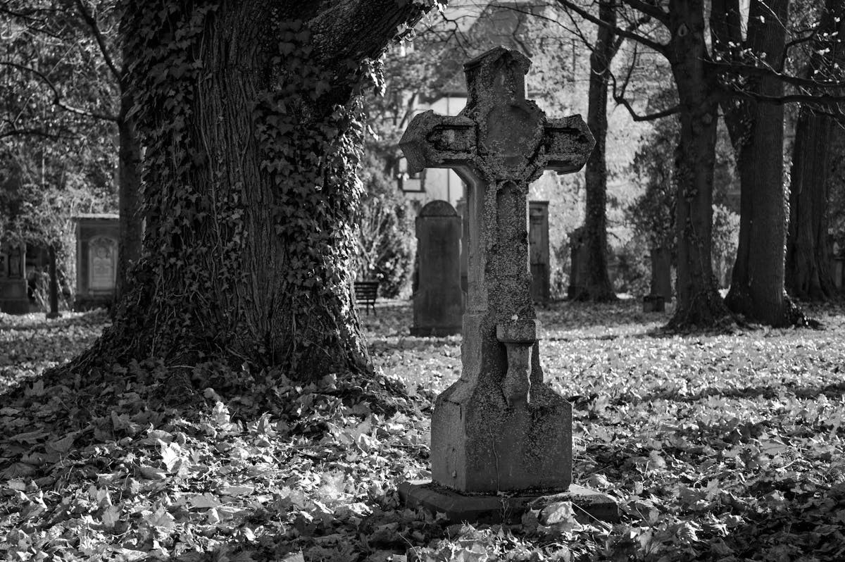 Grabstein vor einem Baum.