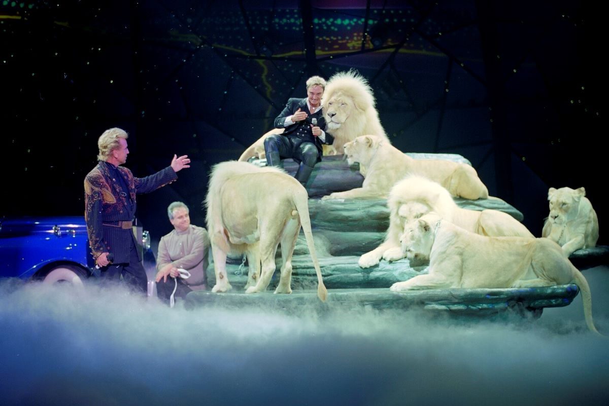 Aufnahme eines Auftritts von Siegfried und Roy im Mirage Hotel in Las Vegas.