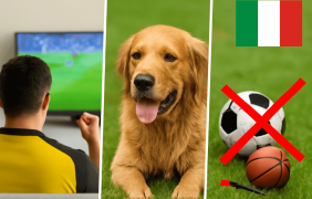 Abbildung eines Fußball-Fans, eines erschöpften Hundes und einiger durchgestrichener Sportgeräte.