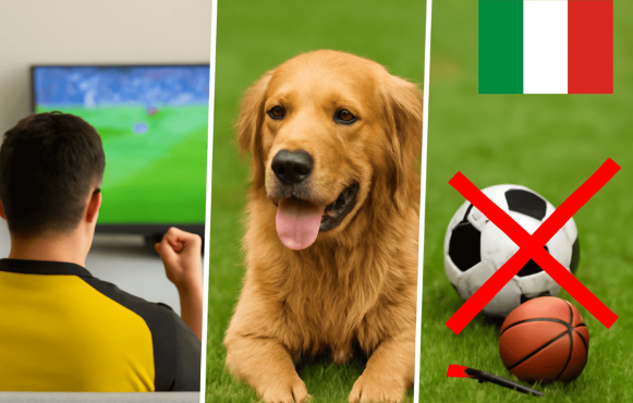 Abbildung eines Fußball-Fans, eines erschöpften Hundes und einiger durchgestrichener Sportgeräte.