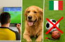 Abbildung eines Fußball-Fans, eines erschöpften Hundes und einiger durchgestrichener Sportgeräte.