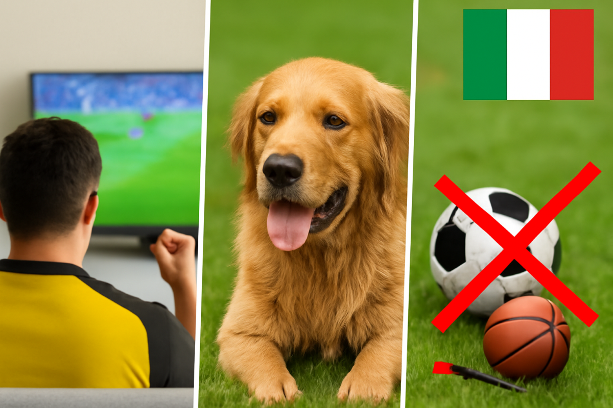 Abbildung eines Fußball-Fans, eines erschöpften Hundes und einiger durchgestrichener Sportgeräte.