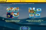 Der Startbildschirm von Big Size Fishin' von Red Rake Gaming bei Interwetten.